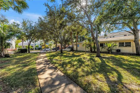 a view of a yard with plants and trees