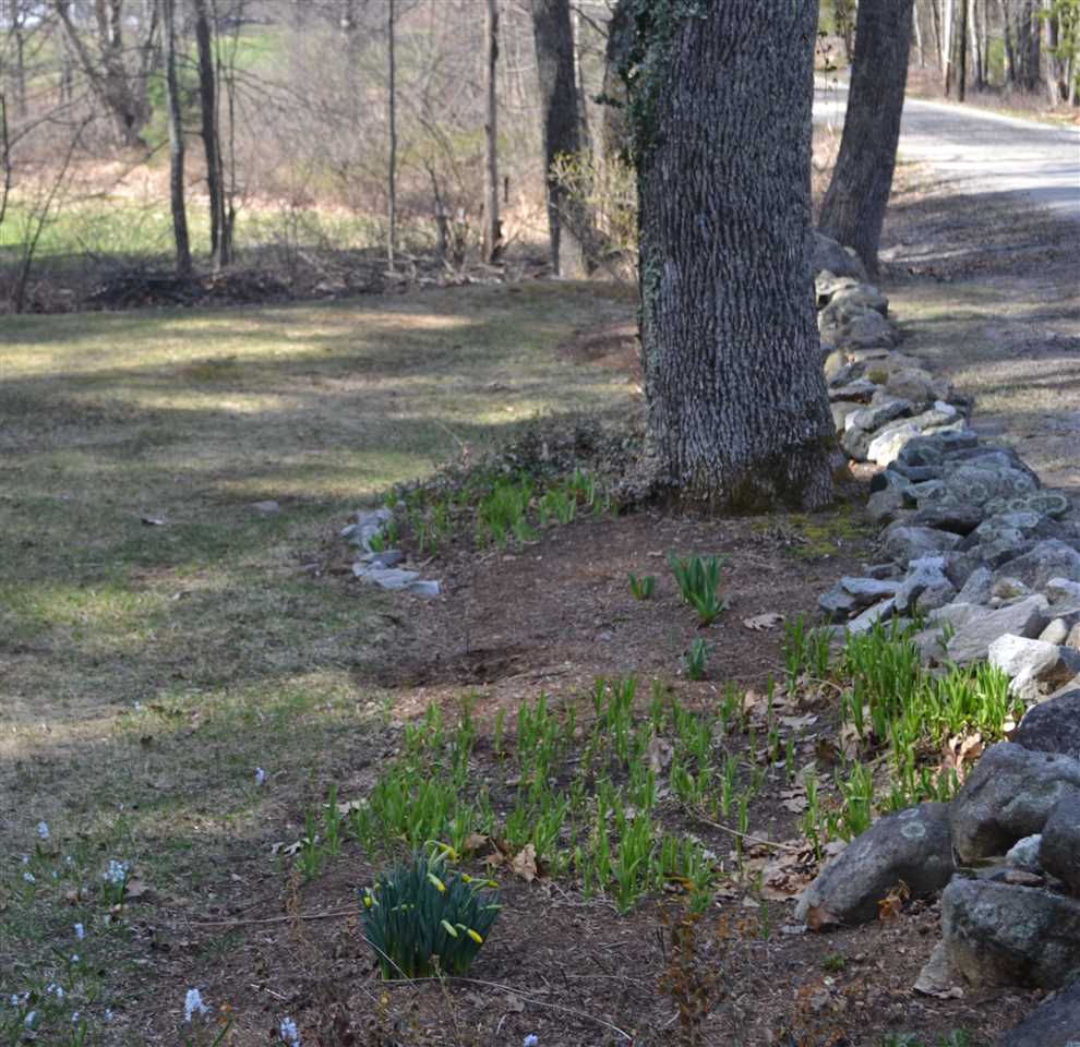 189 Jug City Road Epsom, NH 03234 - Photo 38 of 40 Gallery Image 38