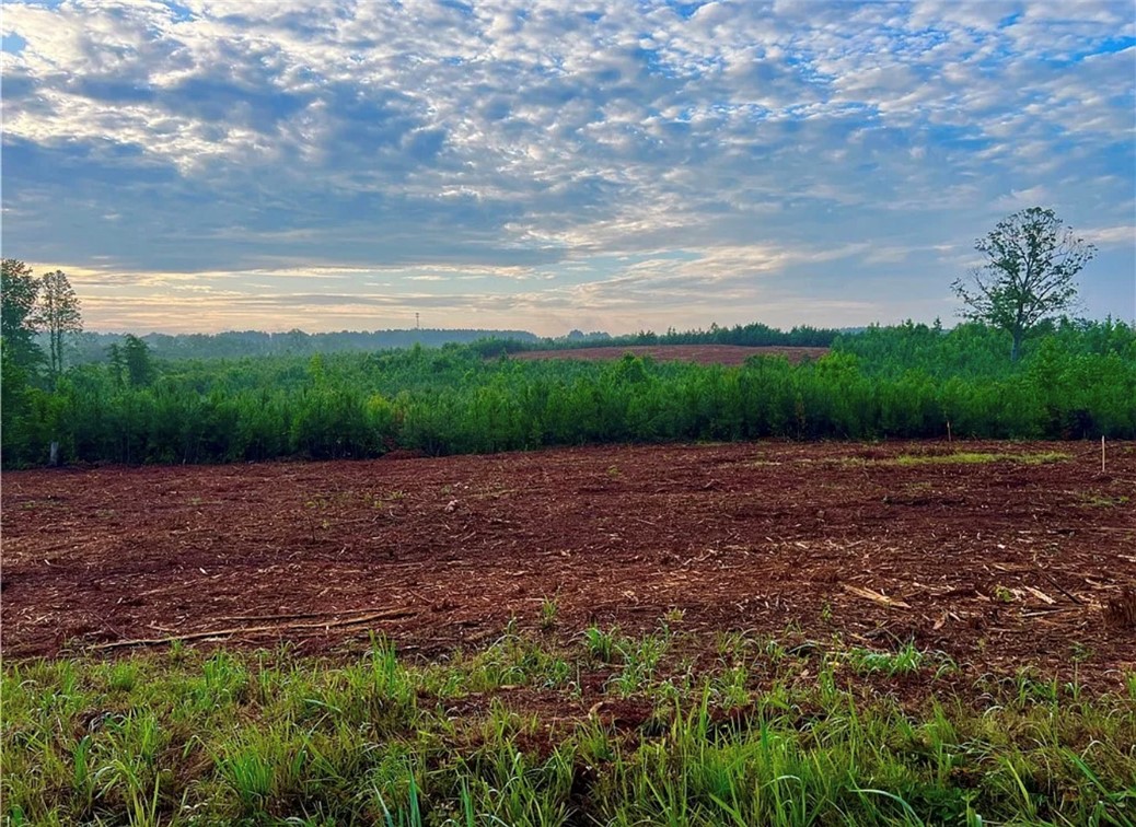Lot 11 Pickens Drive Pendleton, SC 29670 - Photo 3 of 4 Expansive cleared land offers picturesque views under a vast, open sky.