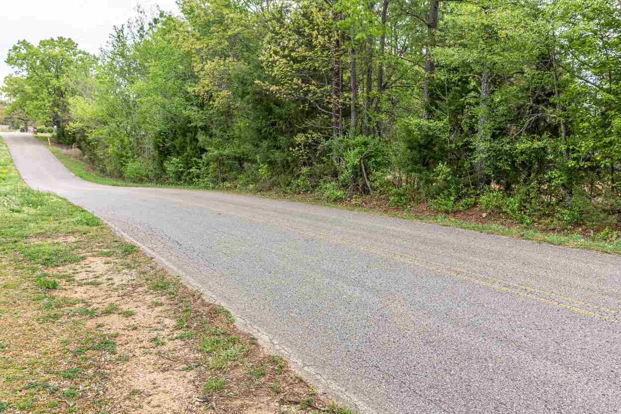 255 Dickson Road Sardis, TN 38371 - Photo 20 of 20 Gallery Image 20