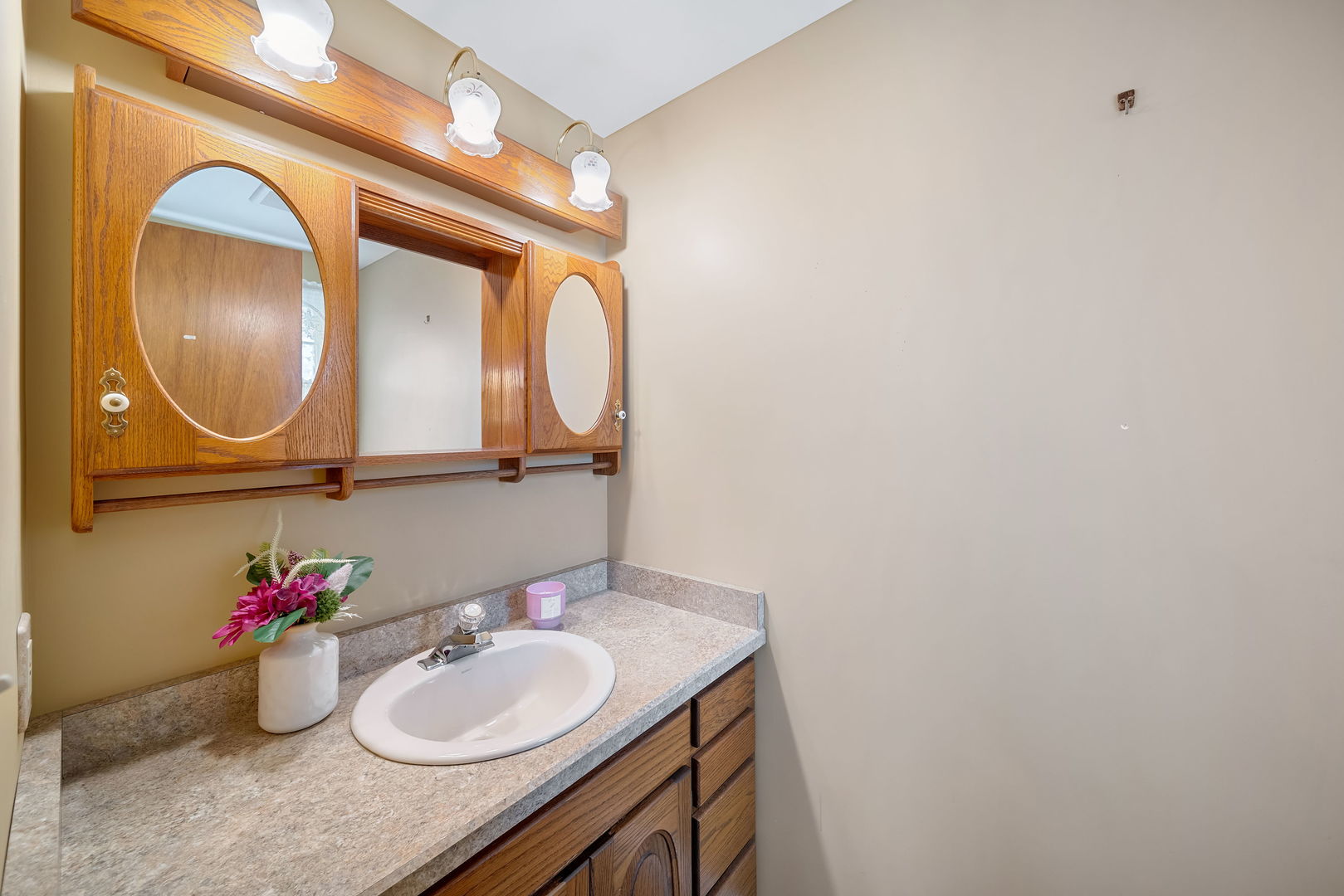 8515 Schmidt Street Spring Grove, IL 60081 - Photo 25 of 43 a bathroom with a granite countertop sink and a mirror