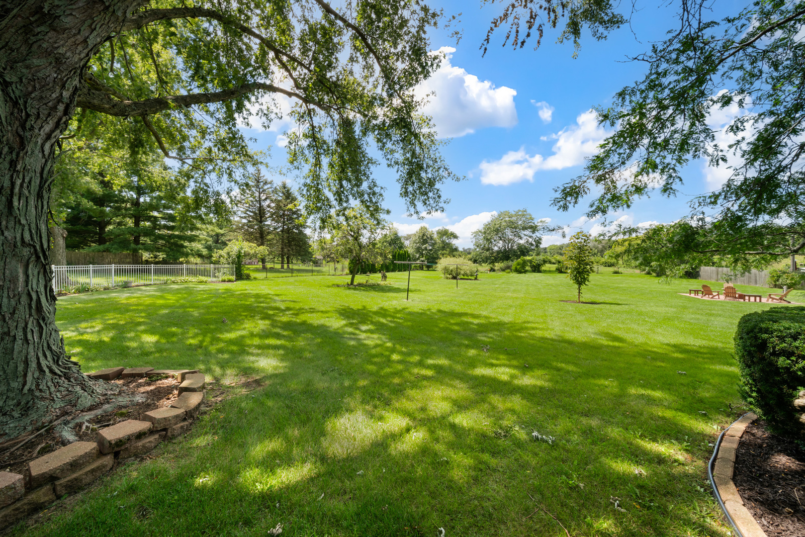8515 Schmidt Street Spring Grove, IL 60081 - Photo 10 of 43 a view of a park with large trees