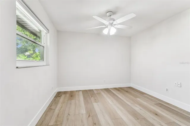 a view of a garden with a tree