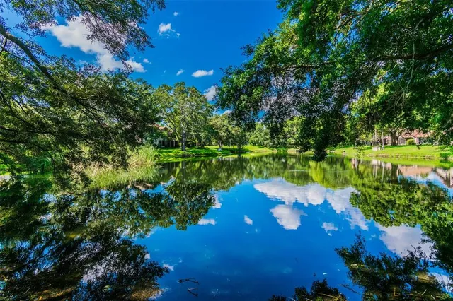 $640,000 | 844 Park Court, Palm Harbor, FL 34683