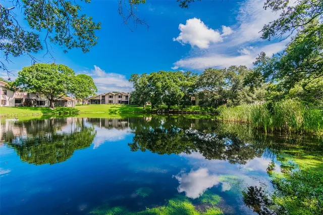 $610,000 | 844 Park Court, Palm Harbor, FL 34683