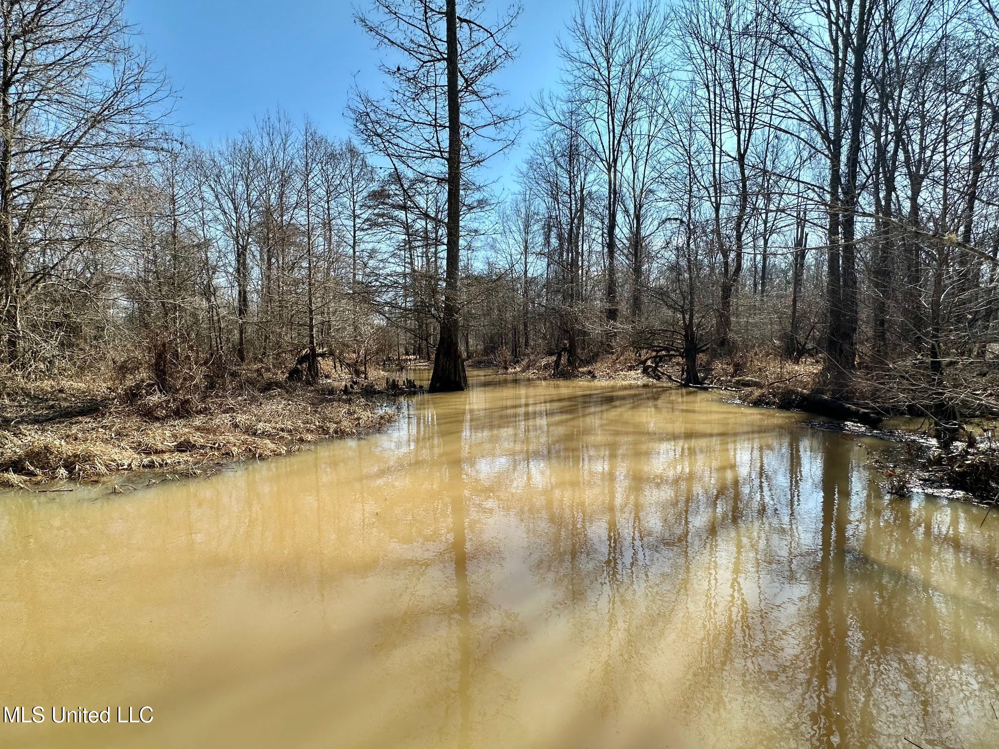 1 Evans Road Carthage, MS 39051 - Photo 40 of 149 60