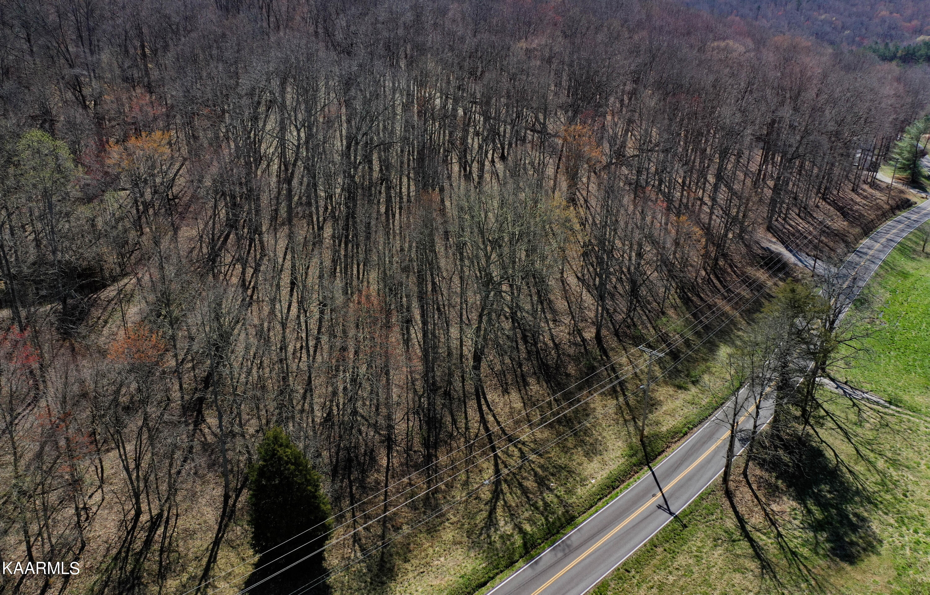 Mill Creek Road Andersonville, TN 37705 - Photo 4 of 15 DJI_0343-3