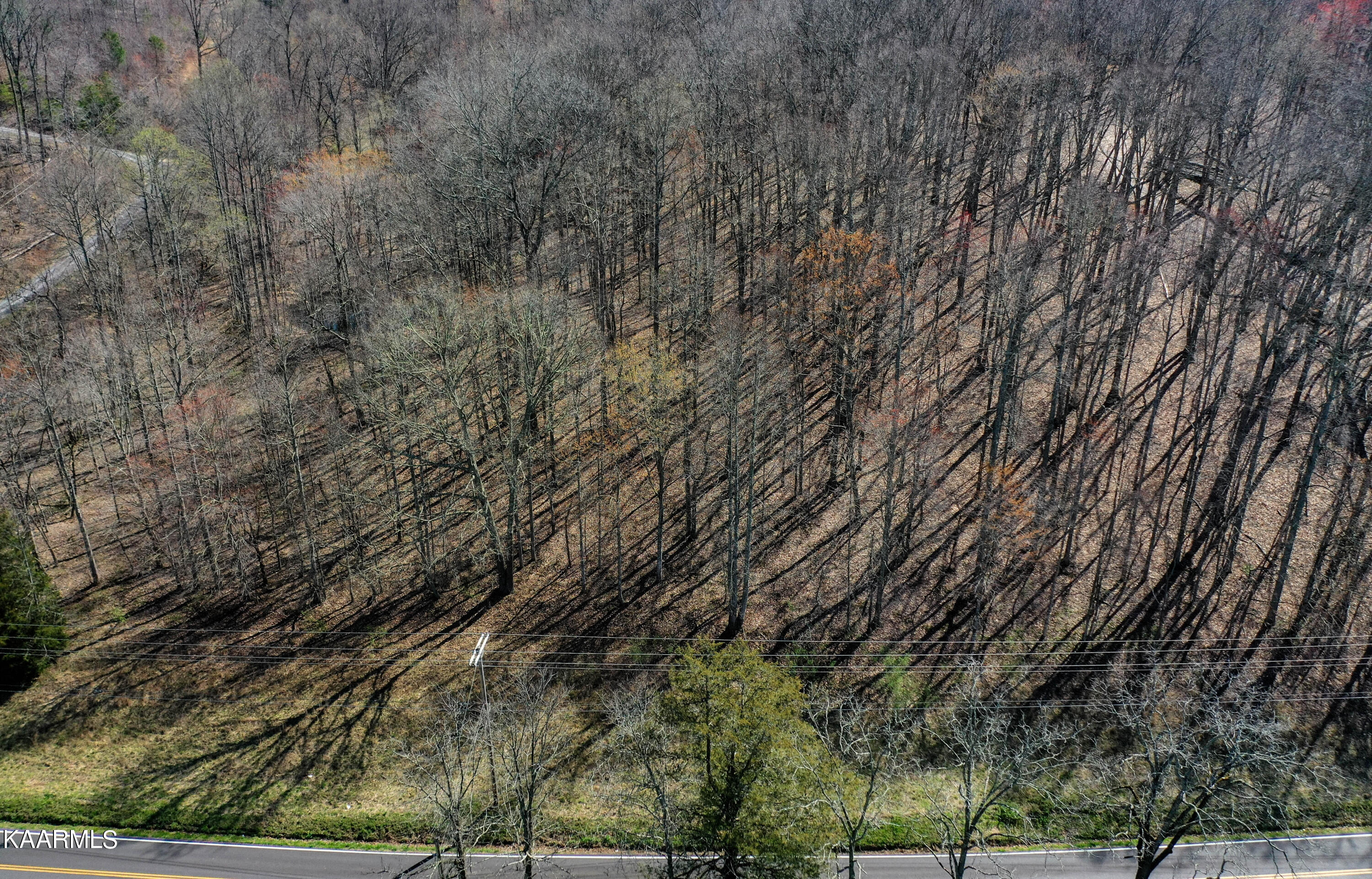 Mill Creek Road Andersonville, TN 37705 - Photo 7 of 15 DJI_0342-3