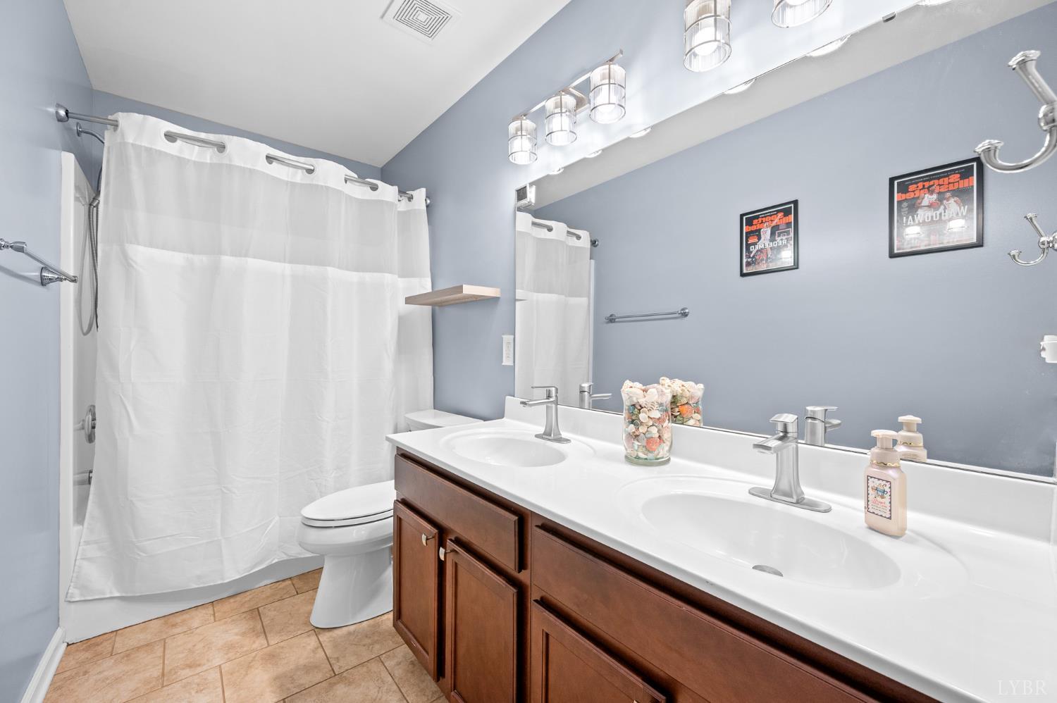 614 Carriage Parkway Rustburg, VA 24588 - Photo 26 of 44 a bathroom with a sink a toilet and shower curtain