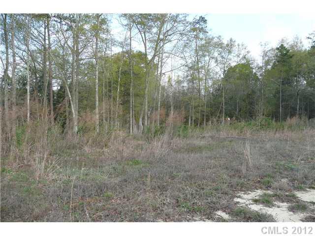 Lot 28 Cane Mill Road, Unit 28 Lancaster, SC 29720 - Photo 3 of 7 Gallery Image 3