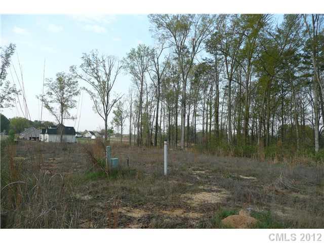 Lot 28 Cane Mill Road, Unit 28 Lancaster, SC 29720 - Photo 7 of 7 Gallery Image 7