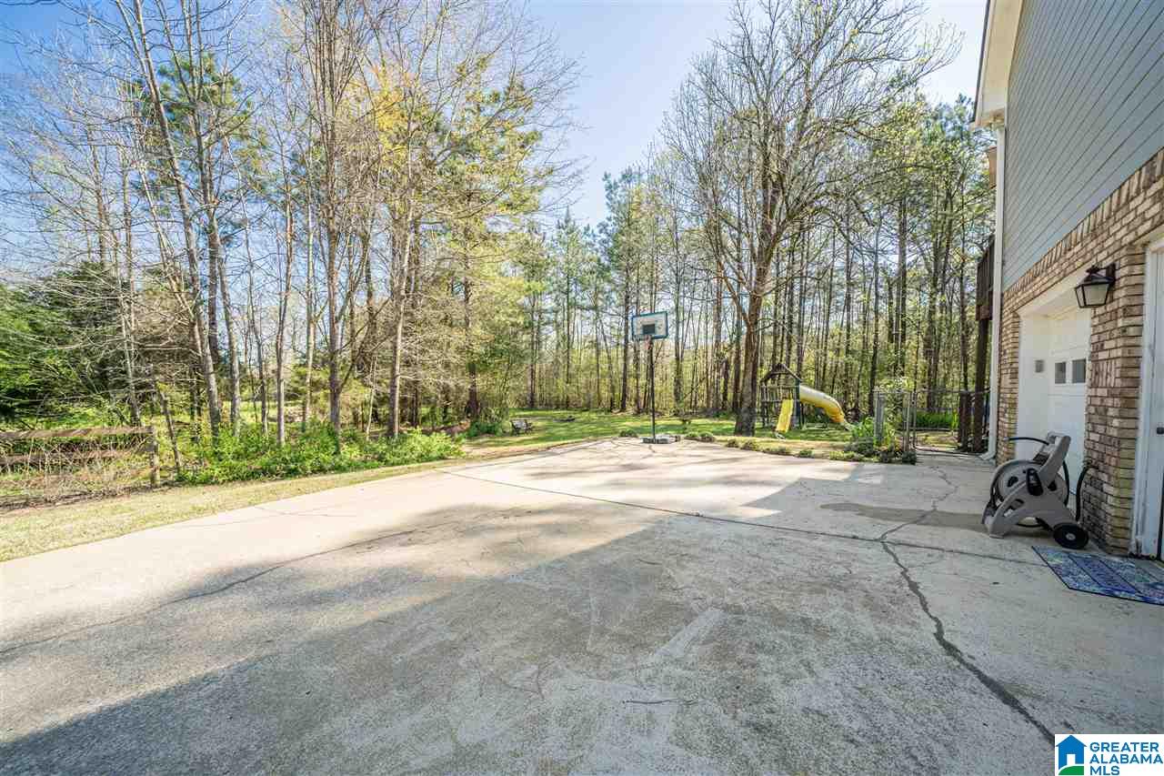 54 Meadows Drive Springville, AL 35146 - Photo 33 of 38