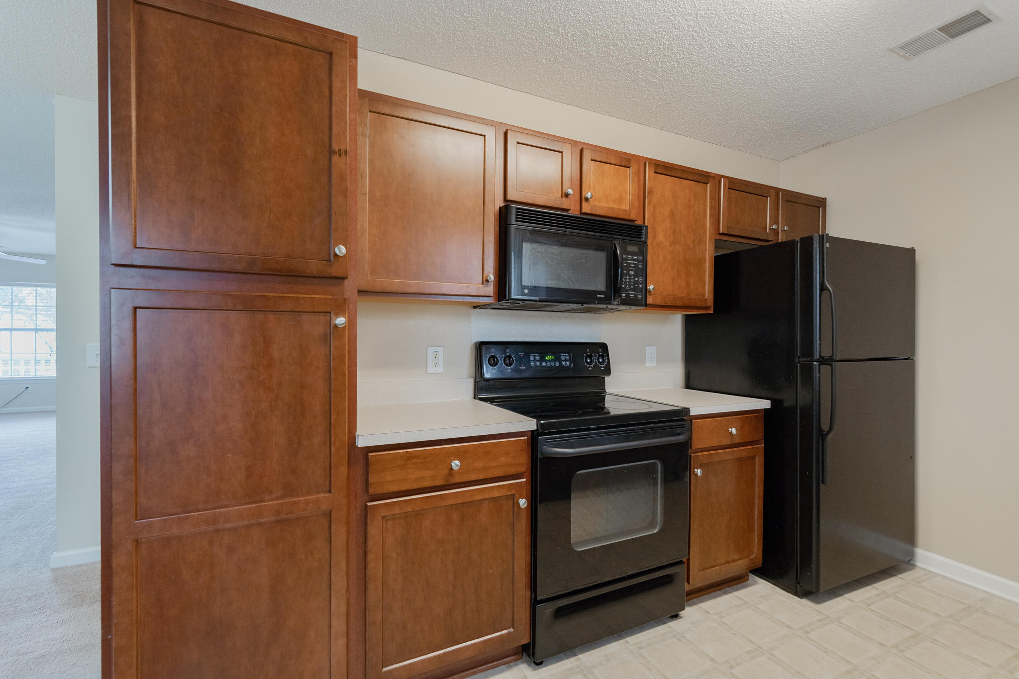161 Thistle Road Goose Creek, SC 29445 - Photo 14 of 22 open concept studio-23