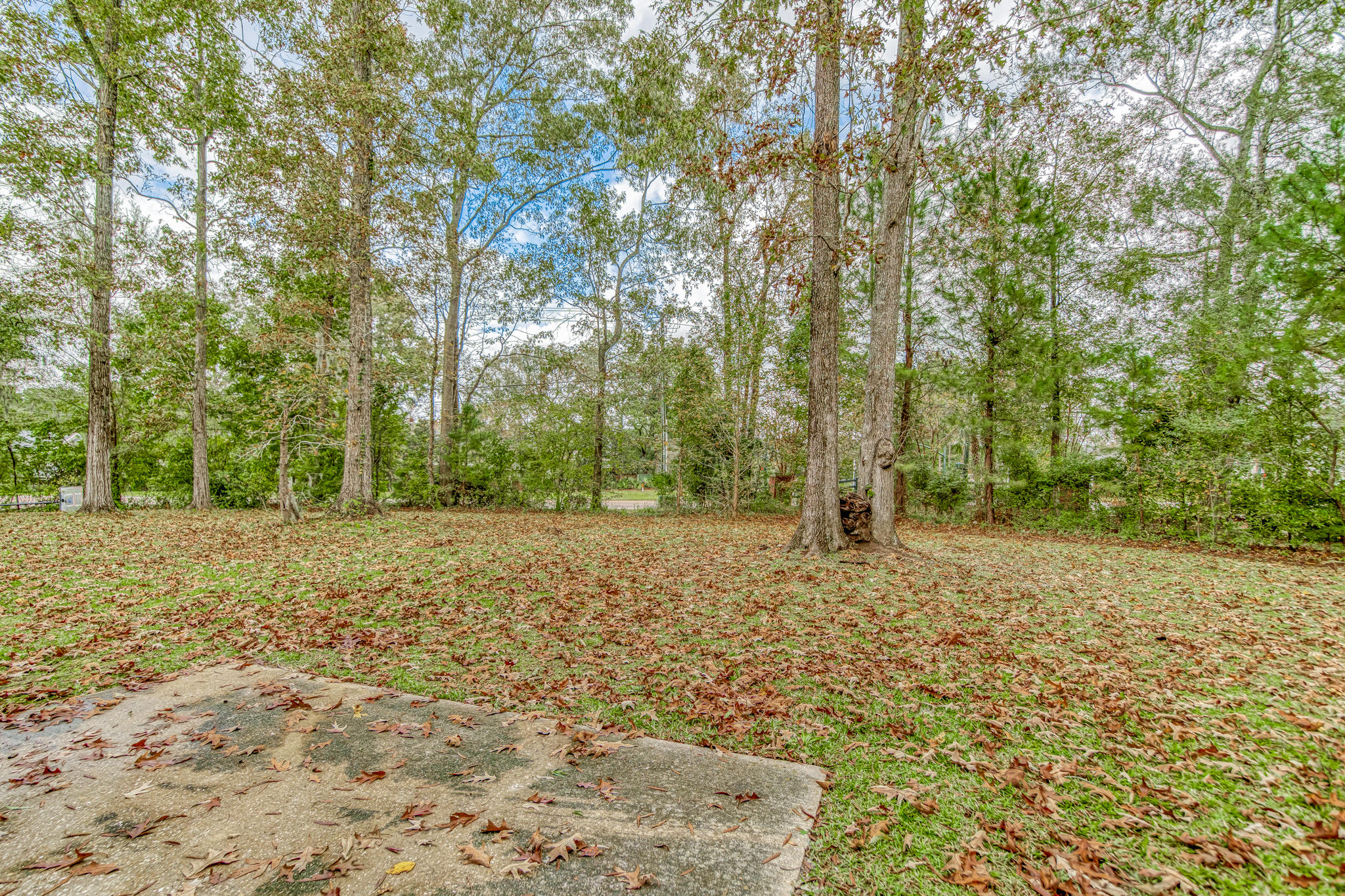 161 Thistle Road Goose Creek, SC 29445 - Photo 7 of 22 open concept studio-36