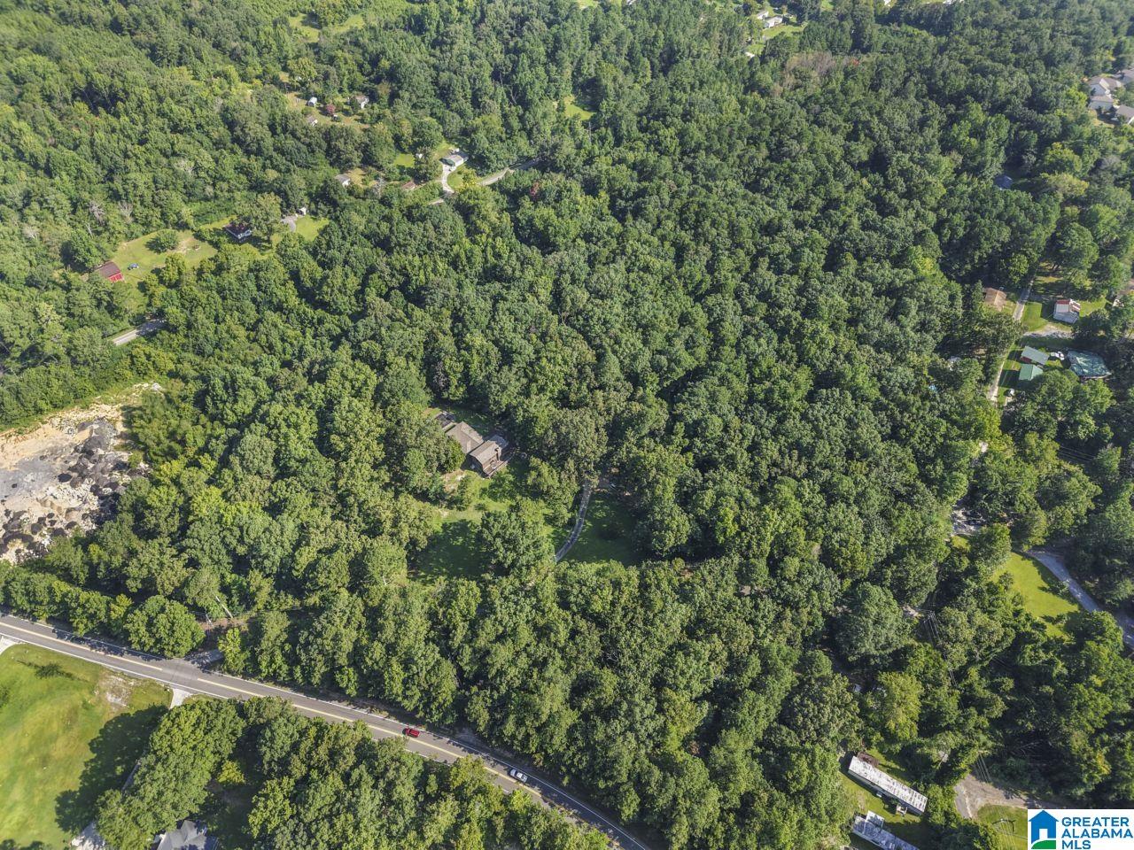 234 Loop Road Odenville, AL 35120 - Photo 22 of 58