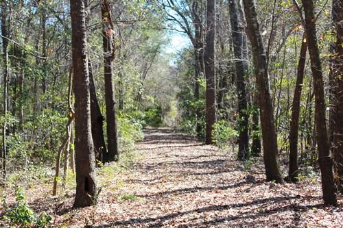 5855 Shady Oak Road Johns Island, SC 29455 - Photo 1 of 6 1.JPG