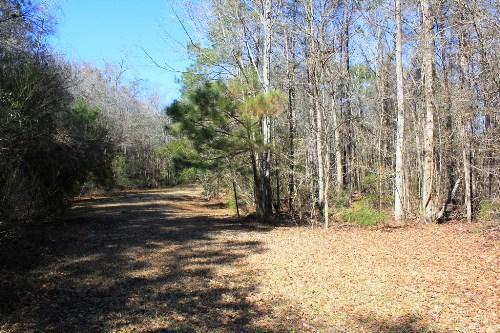5855 Shady Oak Road Johns Island, SC 29455 - Photo 5 of 6 3.JPG