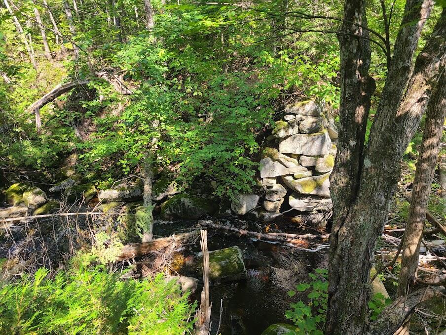 Lot 6 Estabrook Road Amity, ME 04471 - Photo 9 of 23 20210913_123209