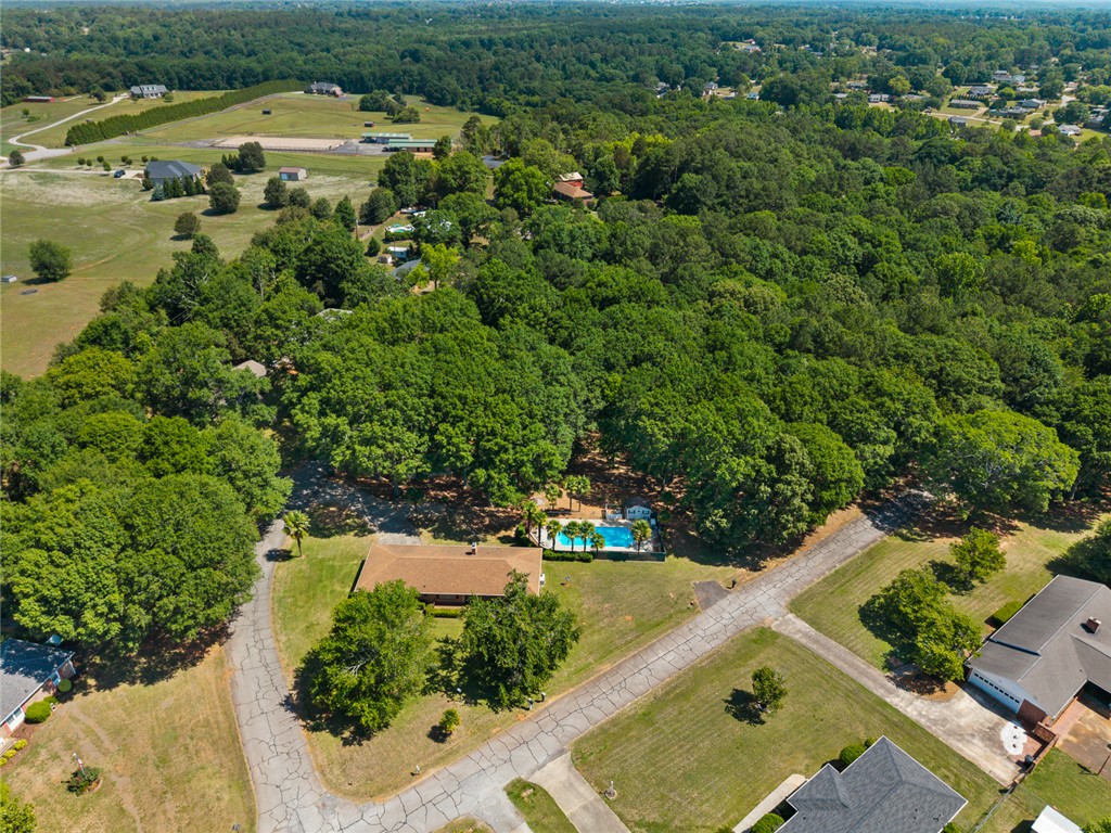 2101 Old Spring Drive Anderson, SC 29625 - Photo 34 of 36 An aerial perspective showcases a private pool nestled among mature trees, providing a tranquil residential escape.