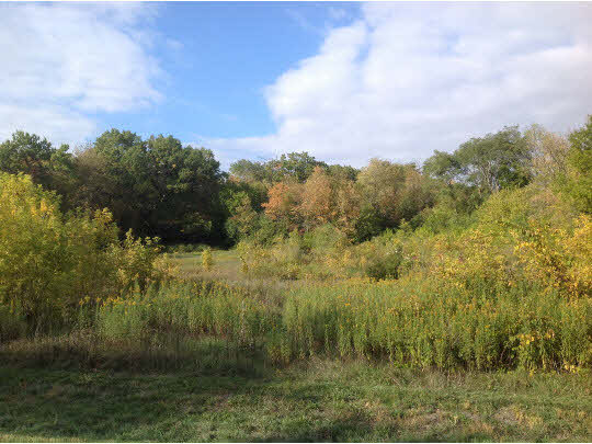 0 Manchester Road South Beloit, IL 61080 - Photo 1 of 1 a view of a lake
