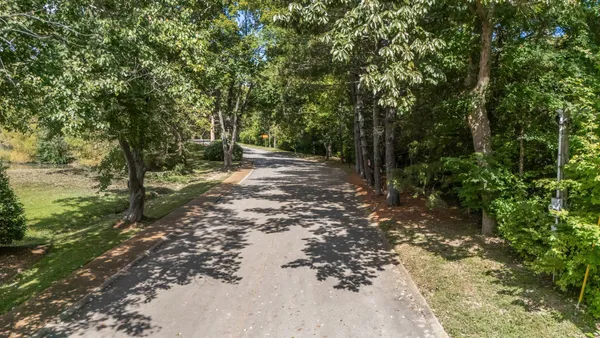 a view of a trees with a yard