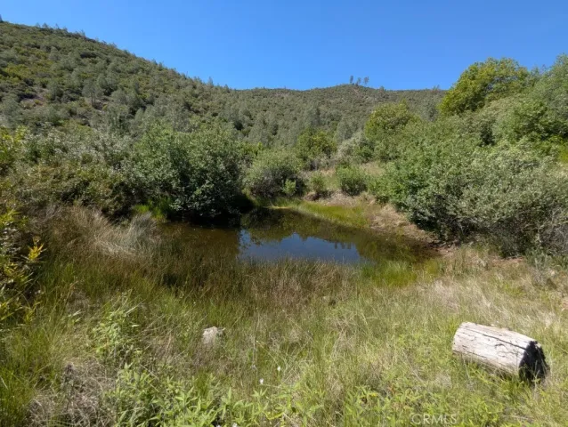 a view of a lake with a mountain in the background