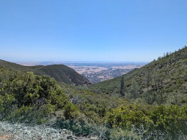 a view of a lush green space with a mountain in the background