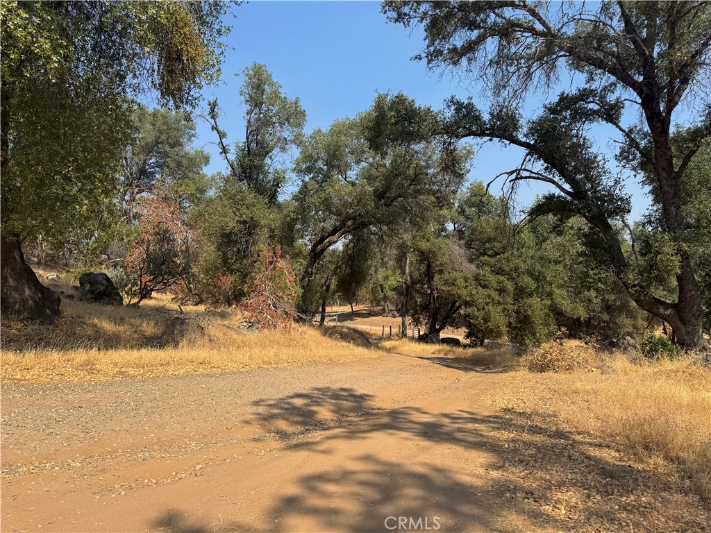 5393 Schafer Road Mariposa, CA 95338 - Photo 12 of 19 a view of a snow on the side of the road