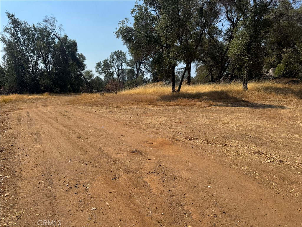 5393 Schafer Road Mariposa, CA 95338 - Photo 13 of 19 a view of outdoor space with trees