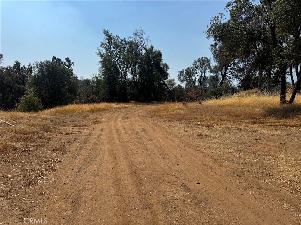 5393 Schafer Road Mariposa, CA 95338 - Photo 14 of 19 a street view with mountain view