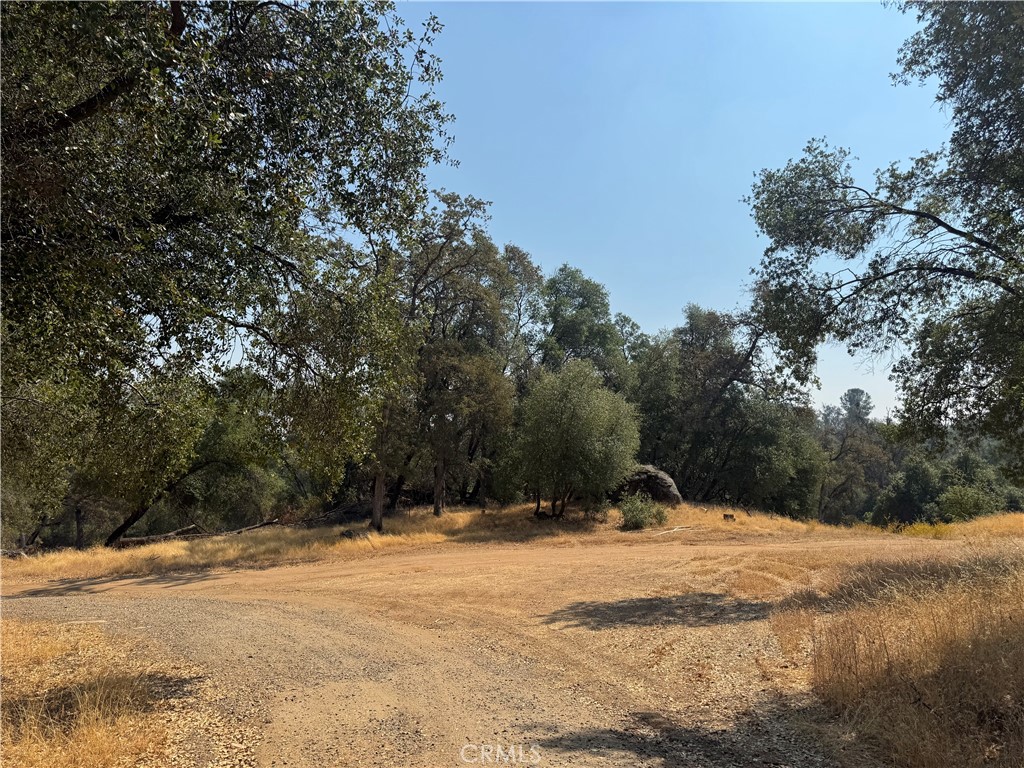 5393 Schafer Road Mariposa, CA 95338 - Photo 17 of 19
