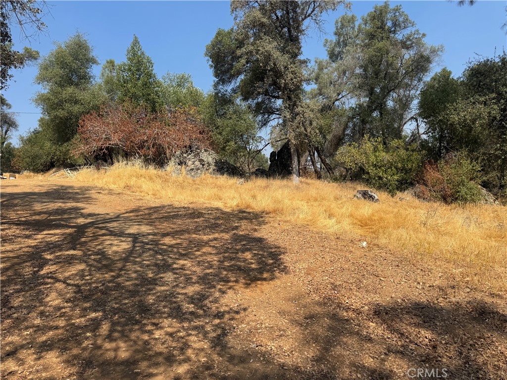 5393 Schafer Road Mariposa, CA 95338 - Photo 19 of 19 a view of ocean view with large trees