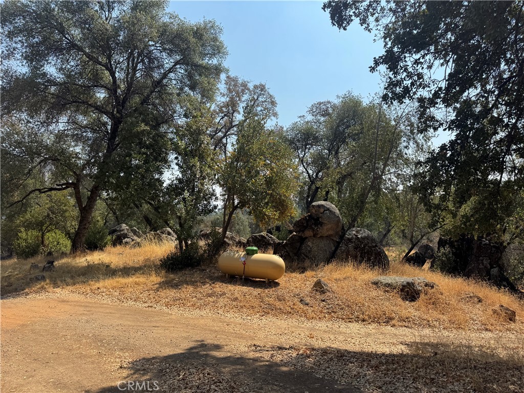 5393 Schafer Road Mariposa, CA 95338 - Photo 10 of 19