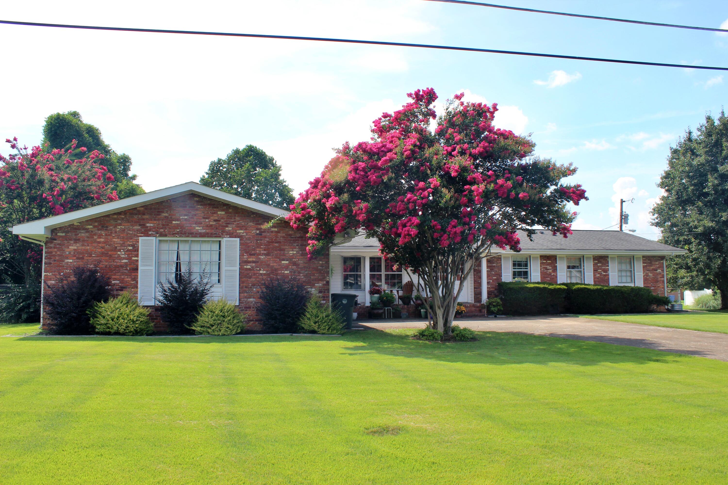 1509 Kippy Drive Chattanooga, TN 37421 - Photo 2 of 46 Kippy in Summer