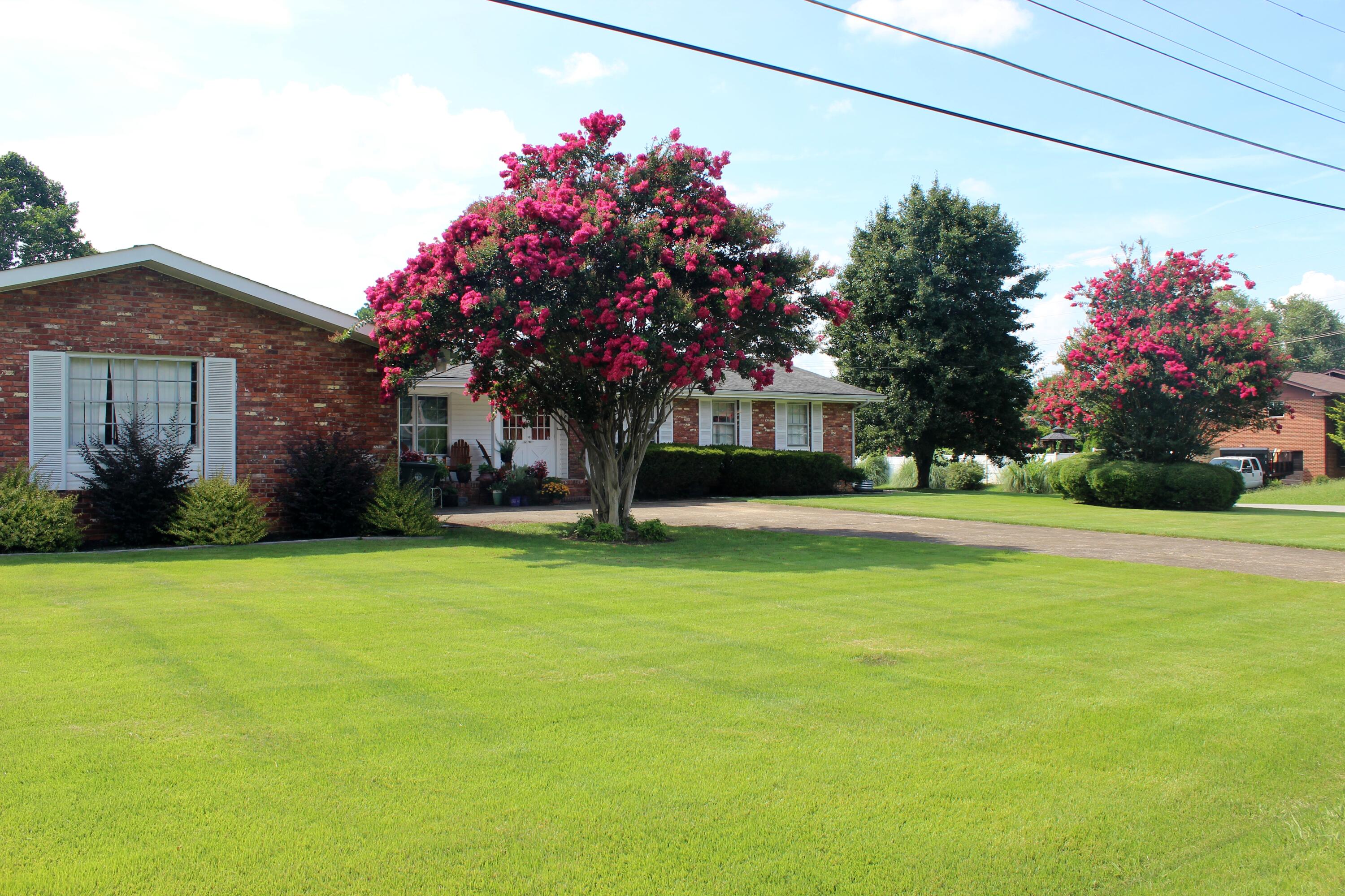 1509 Kippy Drive Chattanooga, TN 37421 - Photo 4 of 46 Kippy in Summer