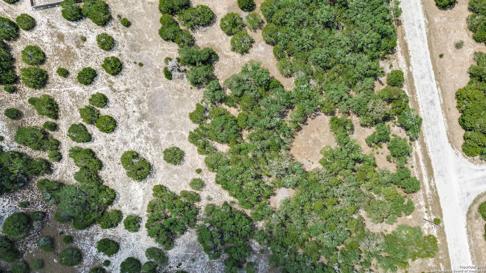 532 Restless Wind Spring Branch, TX 78070 - Photo 15 of 16 a close up of a plant in a garden