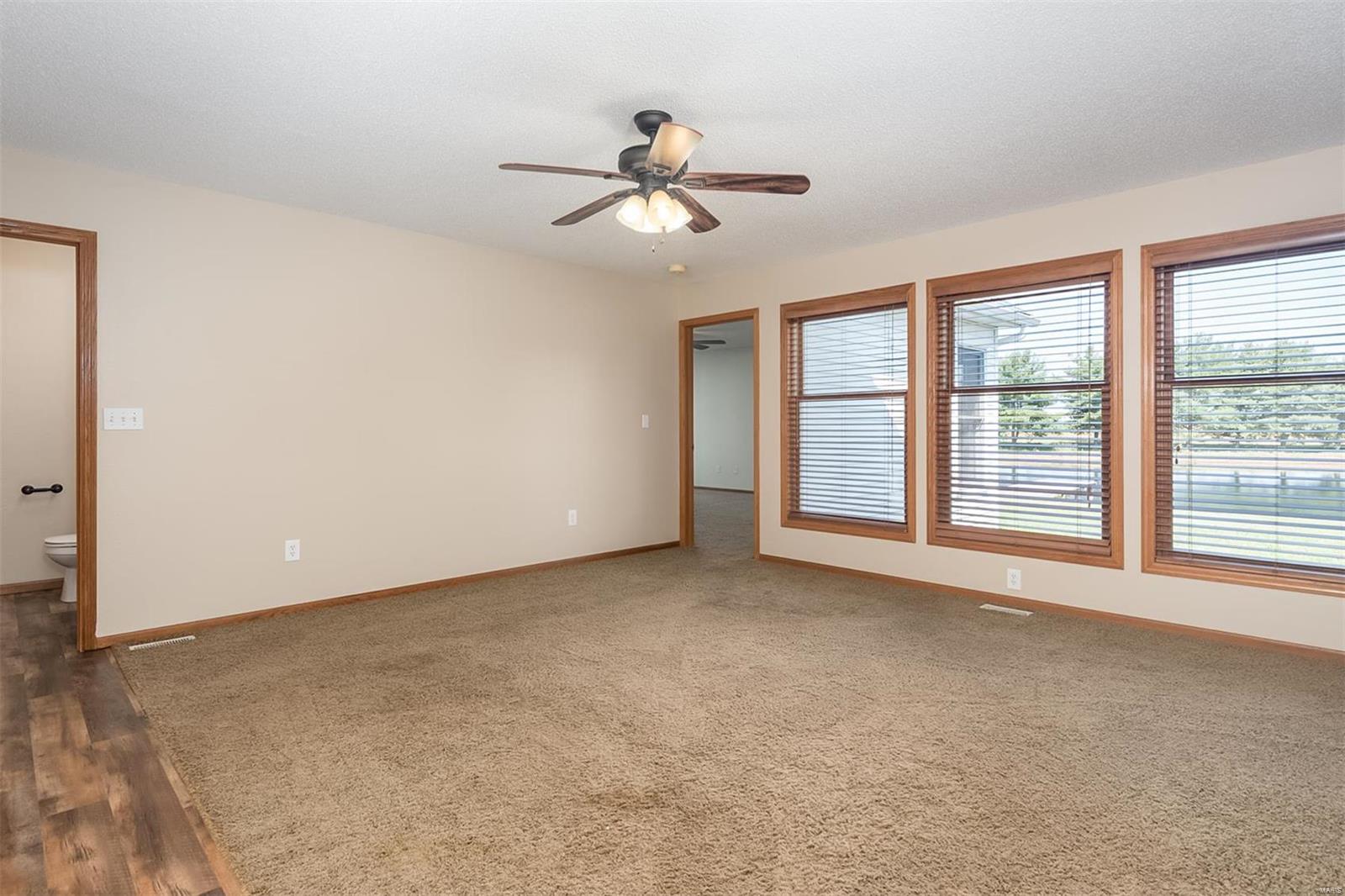 9731 Lebanon Road St. Jacob, IL 62281 - Photo 14 of 59