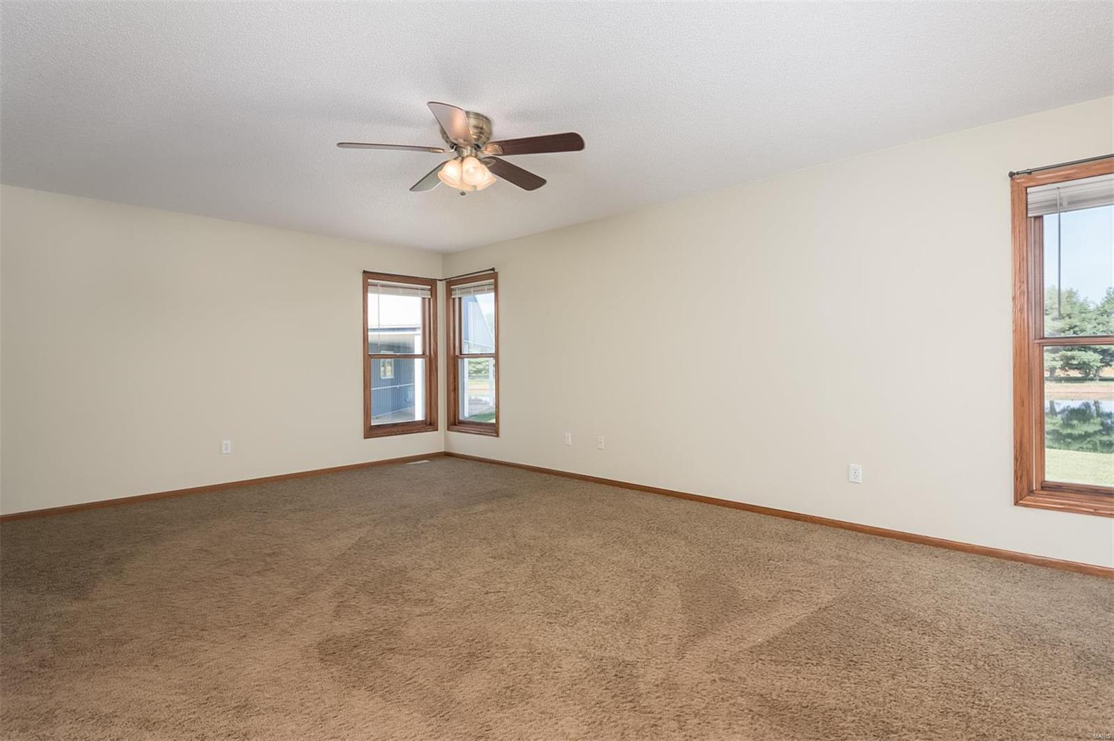 9731 Lebanon Road St. Jacob, IL 62281 - Photo 17 of 59