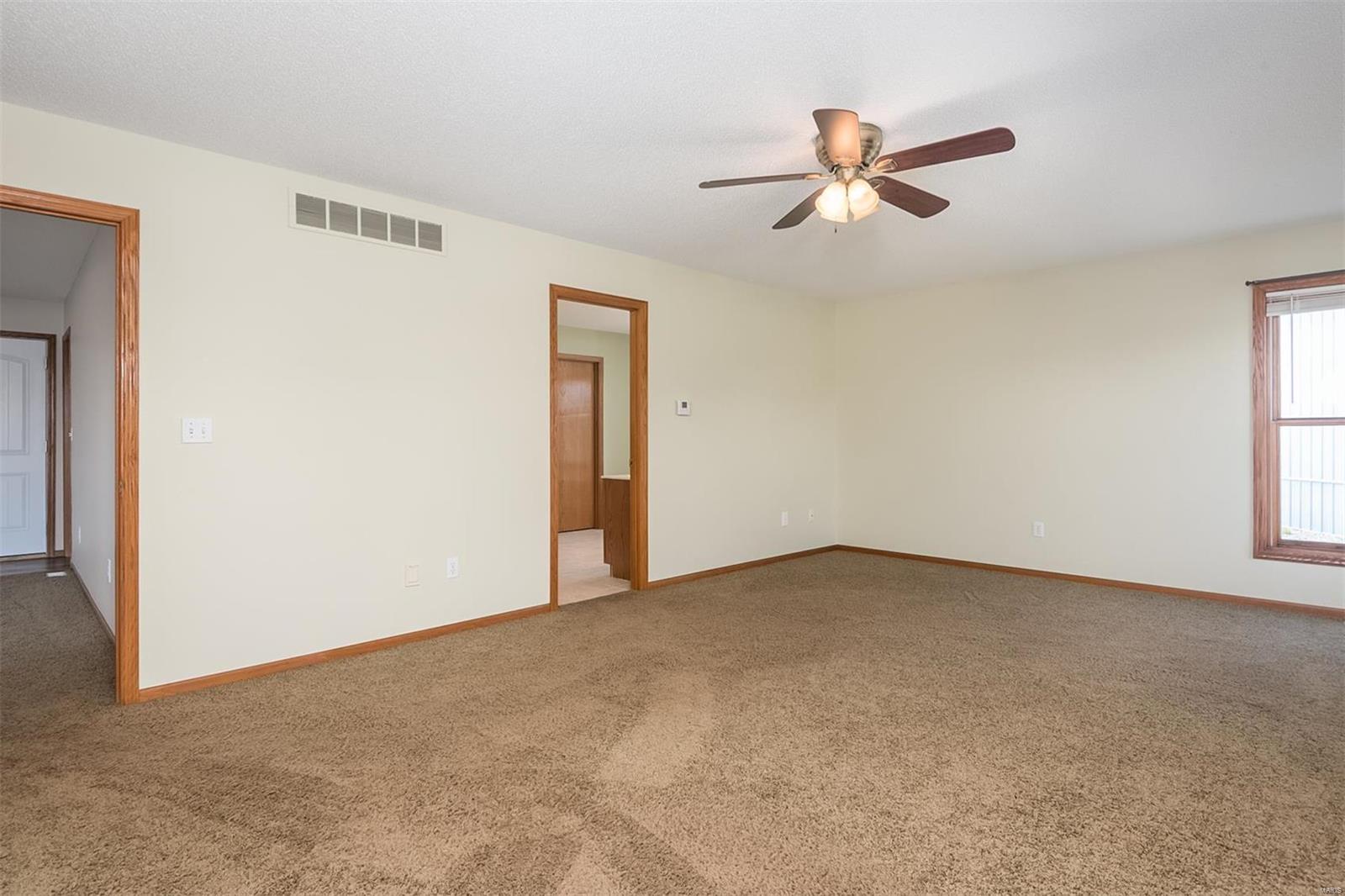 9731 Lebanon Road St. Jacob, IL 62281 - Photo 18 of 59