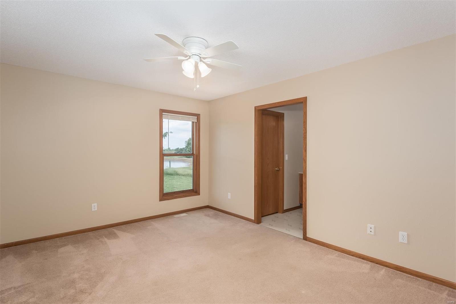 9731 Lebanon Road St. Jacob, IL 62281 - Photo 21 of 59