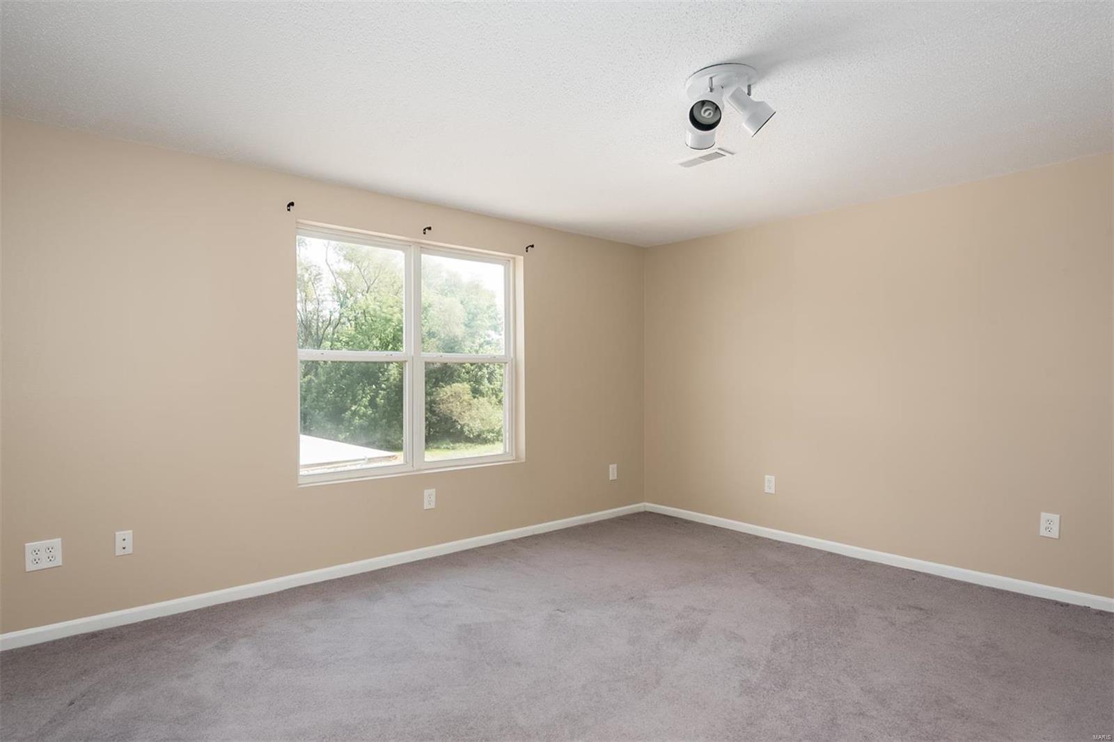 9731 Lebanon Road St. Jacob, IL 62281 - Photo 33 of 59