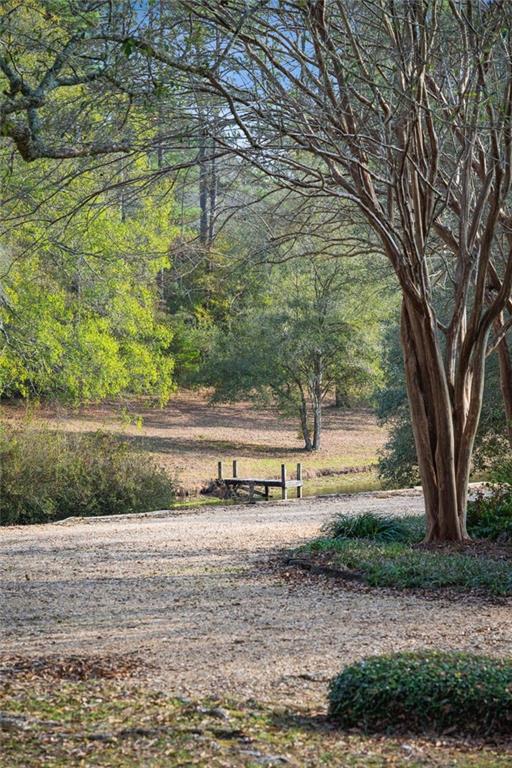 87274 Highway 25 Franklinton, LA 70438 - Photo 16 of 55