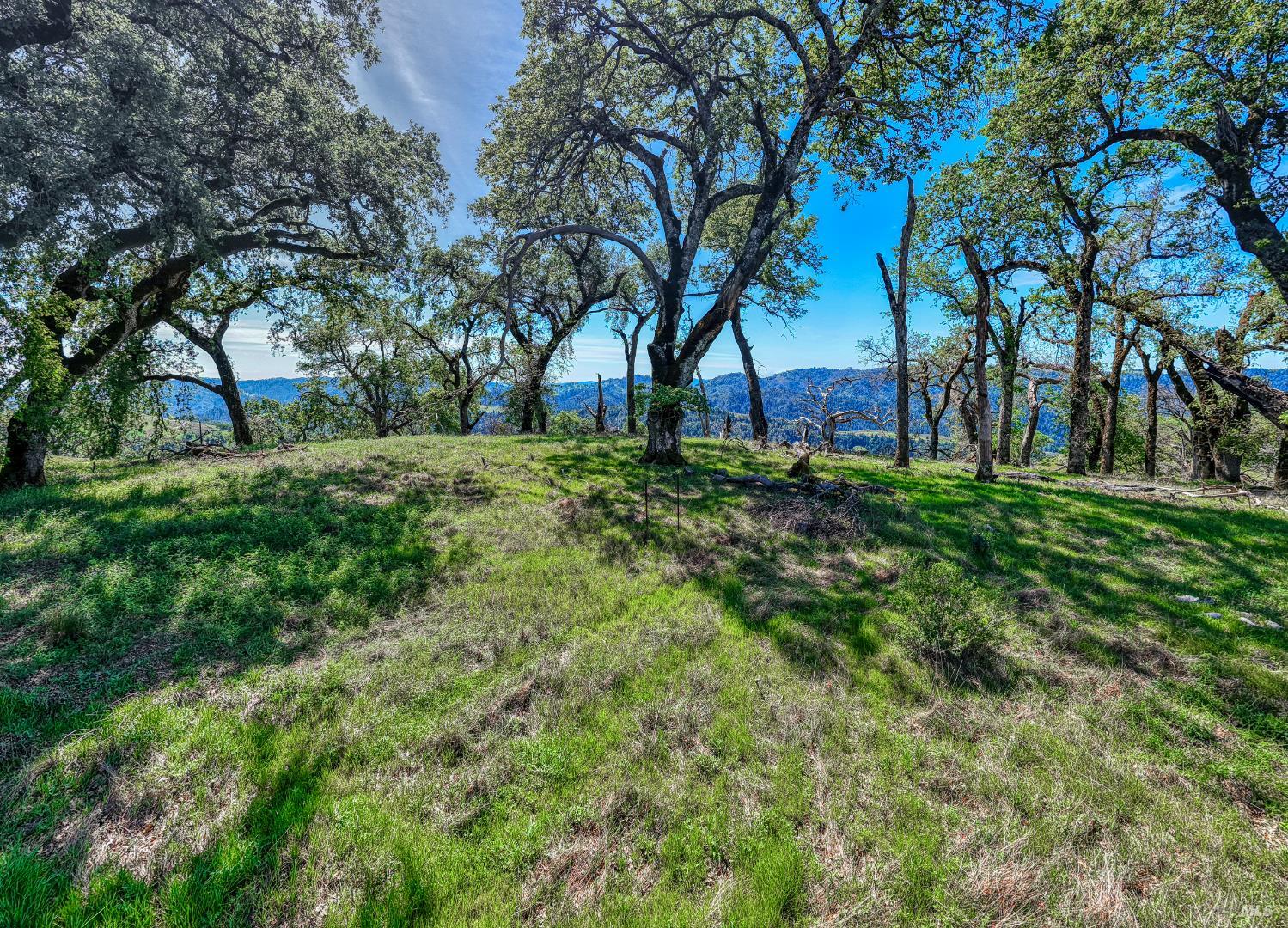 12300 Skaggs Springs Road Geyserville, CA 95441 - Photo 64 of 68 Inspirational Point. A place that compels you to stop walk out and take it all this beauty in. This was the Baxter Sheep Ranch. They took the North half to make Lake Sonoma. 6 creeks emanate from this mountain it fronts 2 more. A named spring that starts a creek. It fronts 2 more creeks. There is a reason a water reservoir was built below to the North. Here is a major water drainage of Sonoma County.
