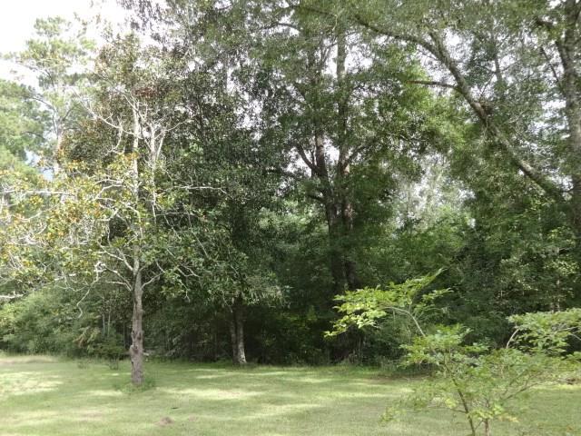 60154 Bennett Road Amite, LA 70422 - Photo 17 of 17 Gallery Image 17
