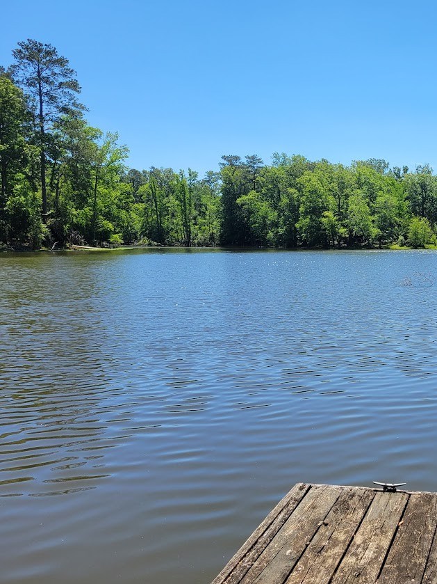 773 Harbor View Drive Prosperity, SC 29127 - Photo 73 of 75
