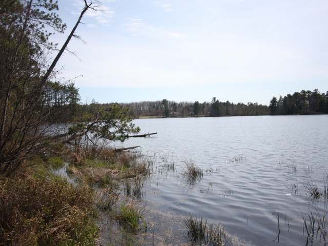 Lot 1 Meadow Lane Rhinelander, WI 54501 - Photo 2 of 5 Gallery Image 2