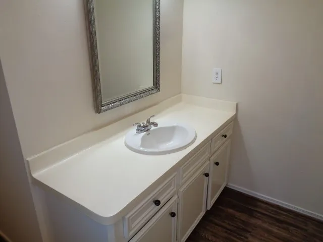a bathroom with a sink and a mirror