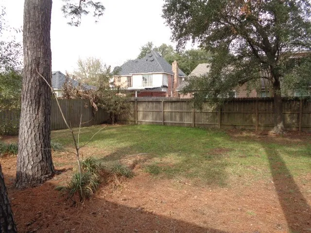 a view of a backyard with a small cabin