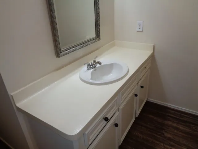 a bathroom with a sink and a mirror