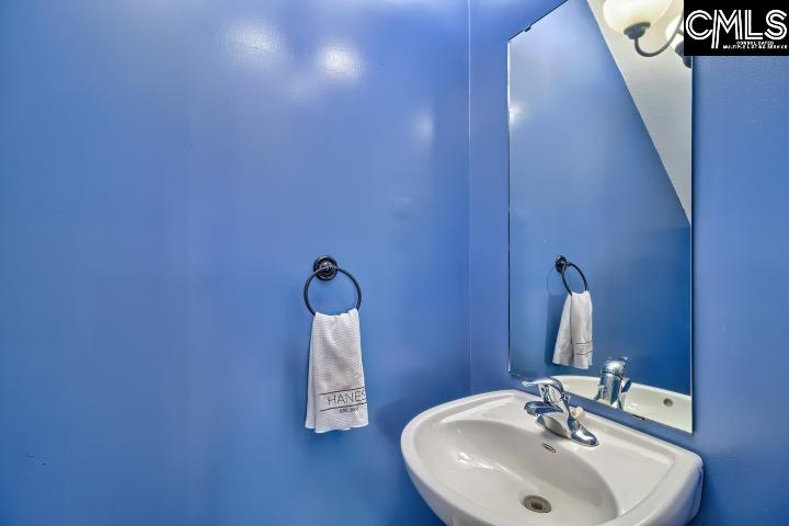 209 Eagle Pointe Drive Chapin, SC 29036 - Photo 19 of 40 a bathroom with a sink and mirror
